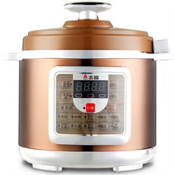 志高zg 419d 电压力锅4l智能电脑版 一锅双胆 24小时预约电压力锅产品图片2